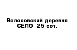 Волосовский деревня СЕЛО  25 сот.